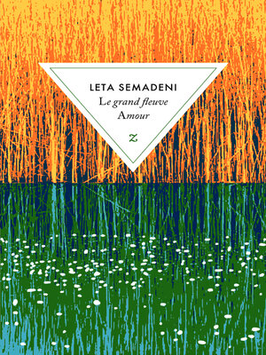 cover image of Le grand fleuve Amour
